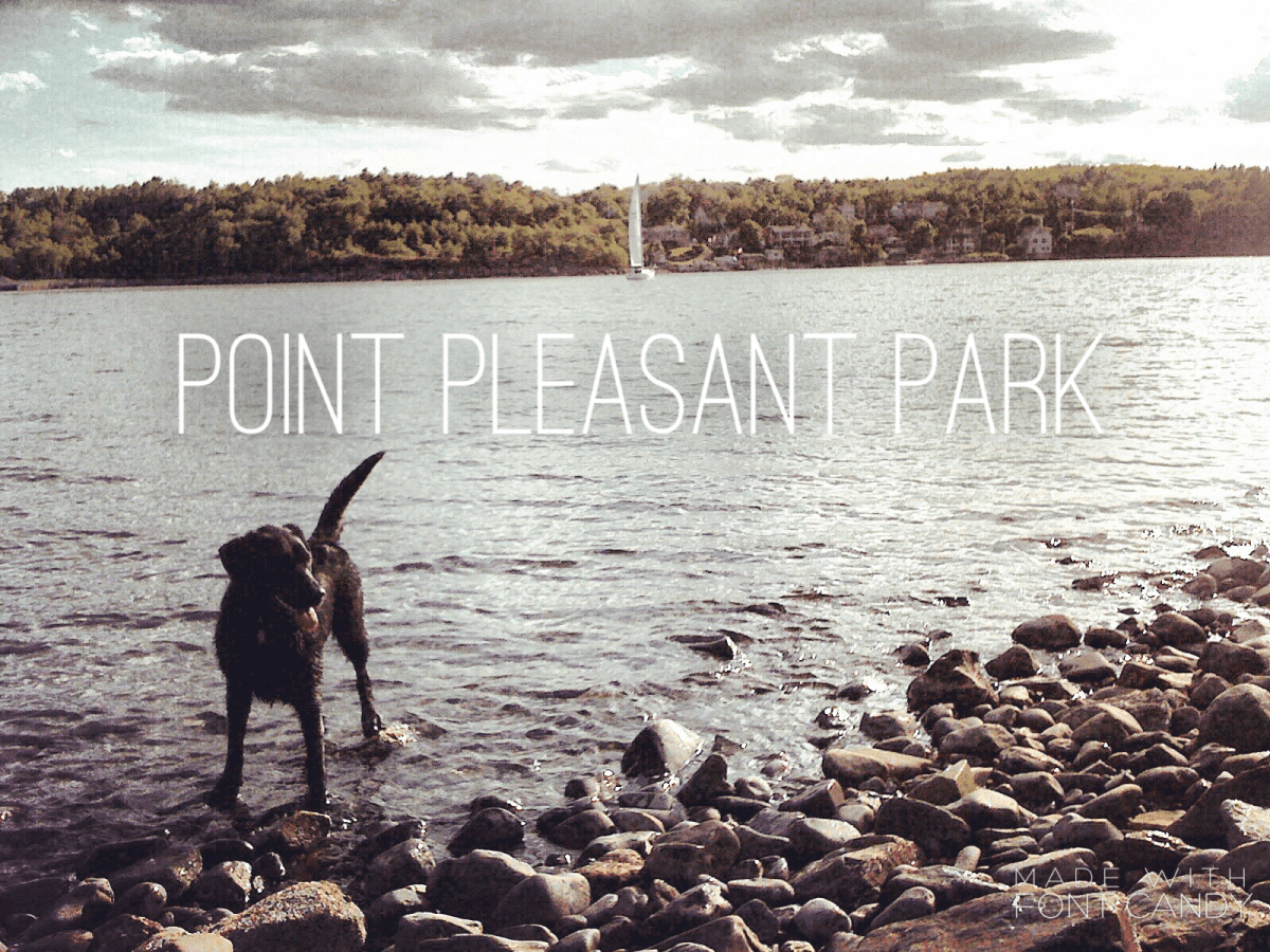 Point Pleasant Park Off-Leash Dog-Friendly