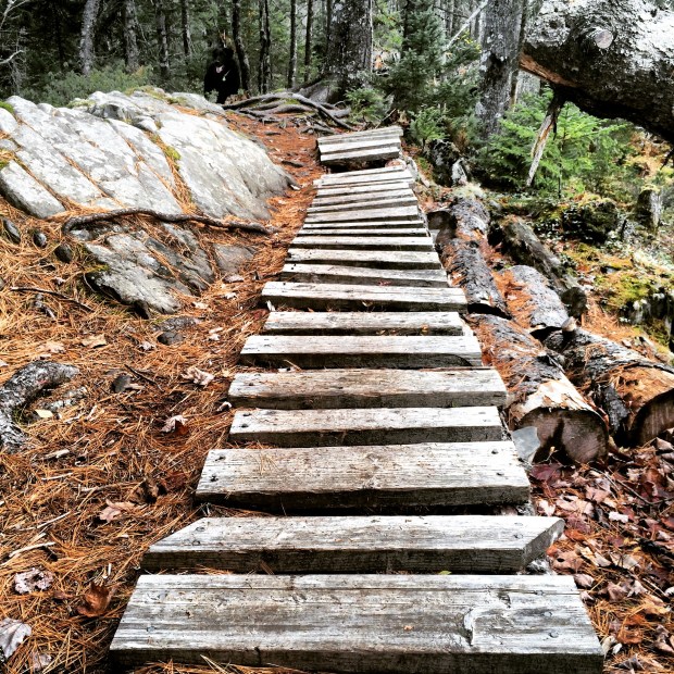 Dog-friendly fun at Blue Mountain Birch Cove Lakes