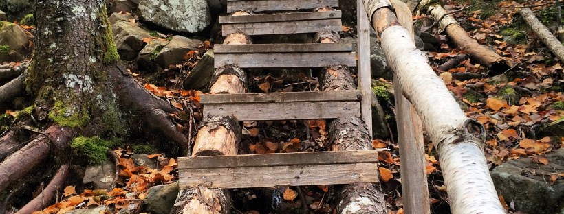 Dog-friendly fun at Blue Mountain Birch Cove Lakes