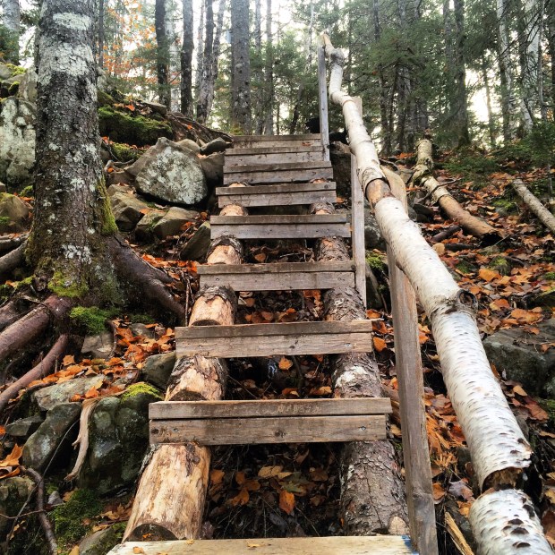 Dog-friendly fun at Blue Mountain Birch Cove Lakes