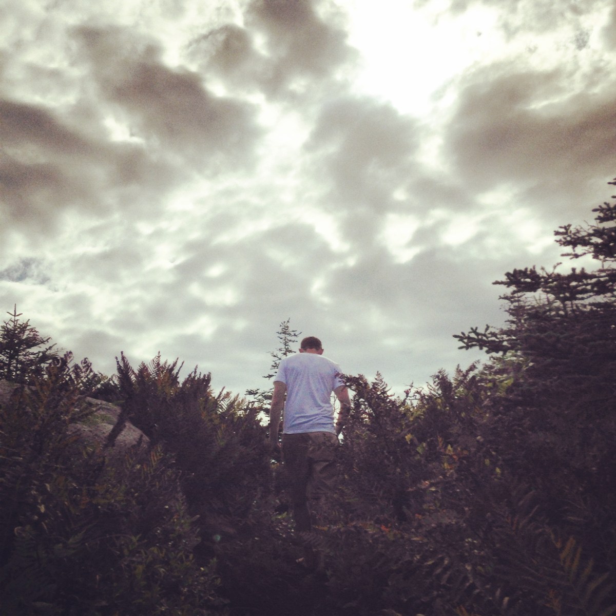 Crystal Crescent Beach off-leash dog-friendly