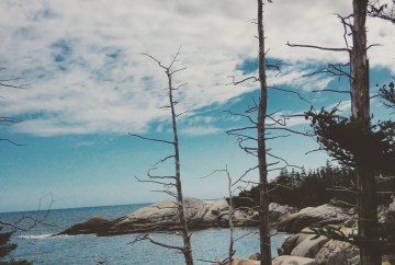 Crystal Crescent Beach off-leash dog-friendly