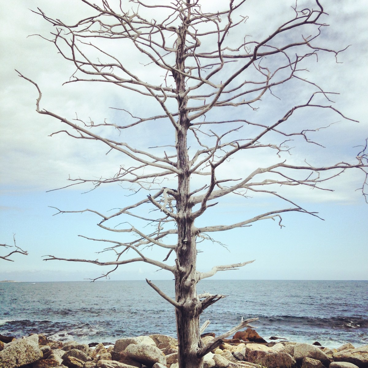 Crystal Crescent Beach off-leash dog-friendly