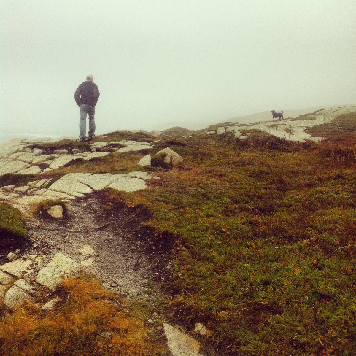 Duncan's Cove off-leash dog-friendly