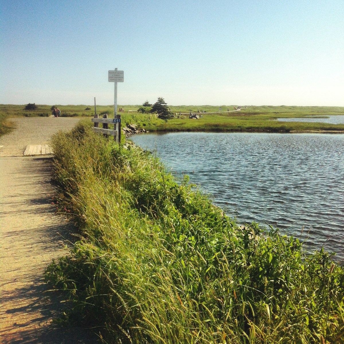 Conrad's Beach in Halifax, NS is our favourite beach for dog-friendly fun