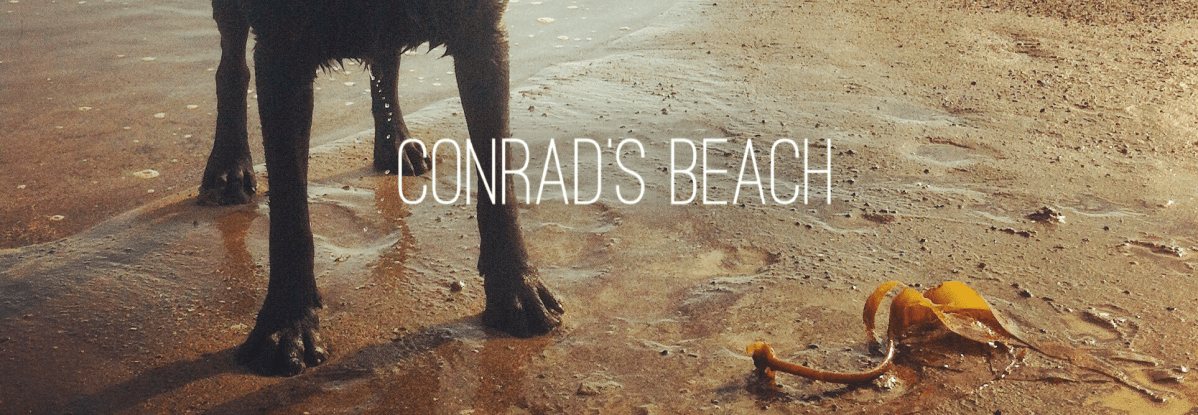 Conrad's Beach in Halifax, NS is our favourite beach for dog-friendly fun