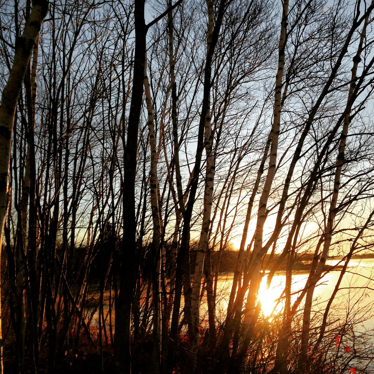 Morris Lake and Russell Lake in Dartmouth, NS are dog-friendly