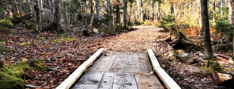 Mainland Common Loop Trail with dog