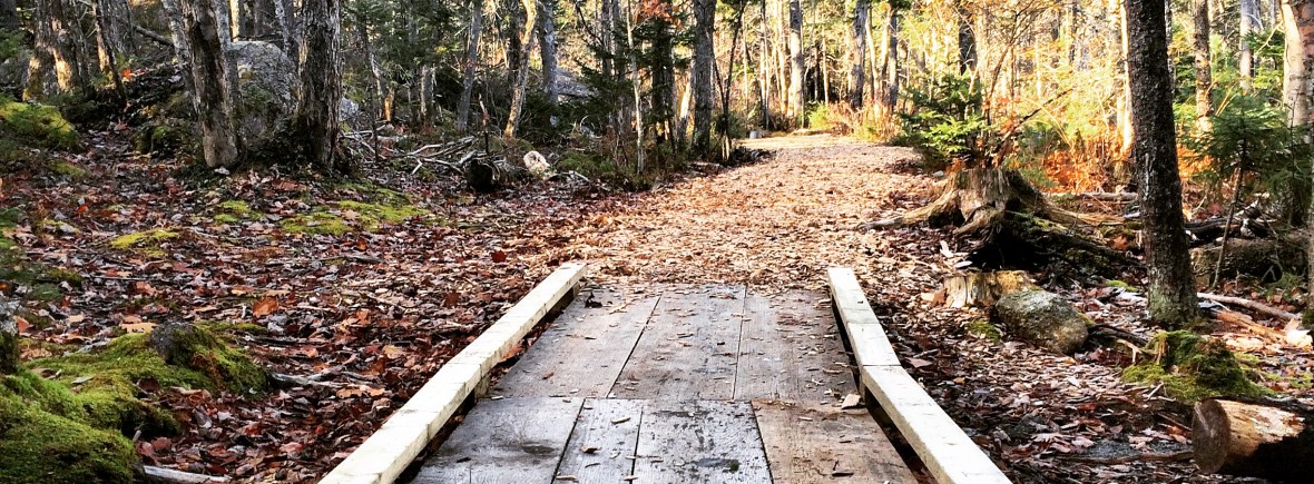 Mainland Common Loop Trail with dog