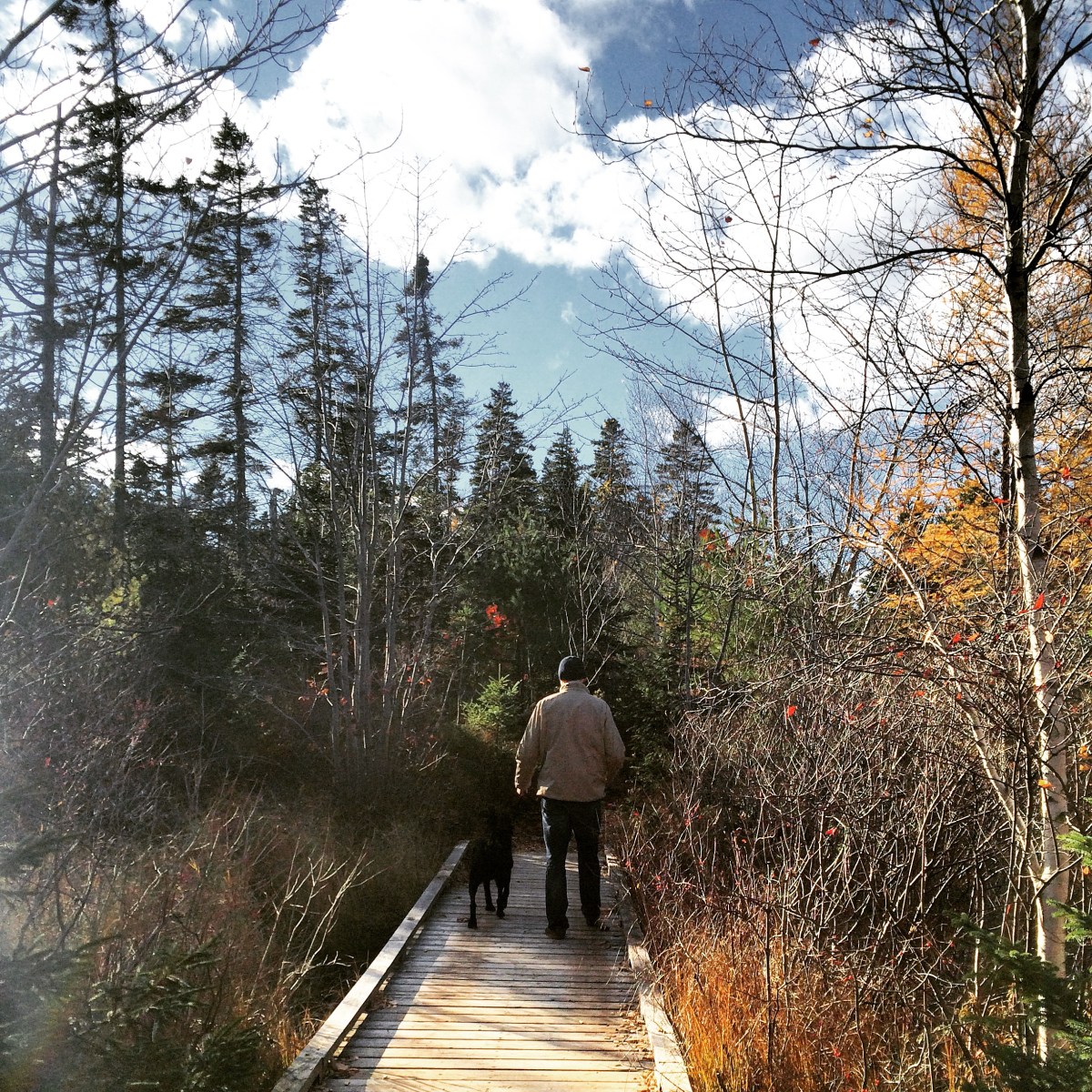 Mainland Common Loop Trail with dog