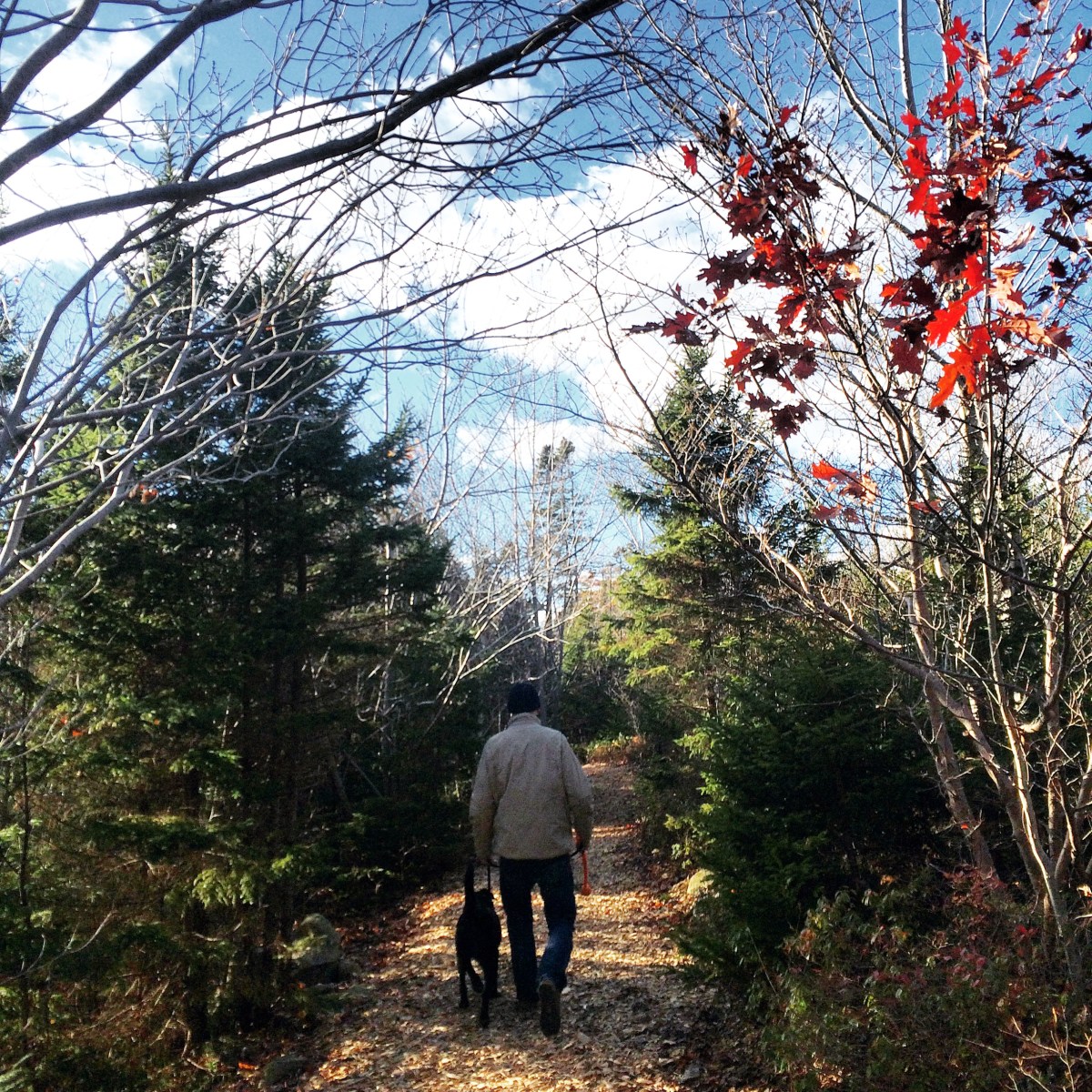 Mainland Common Loop Trail with dog