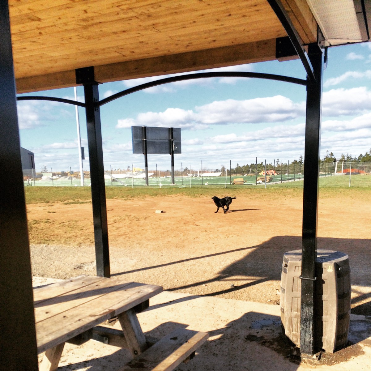 Mainland Common fenced-in off-leash dog park