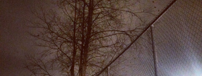 Mic Mac Sports Fields off-leash dog-friendly