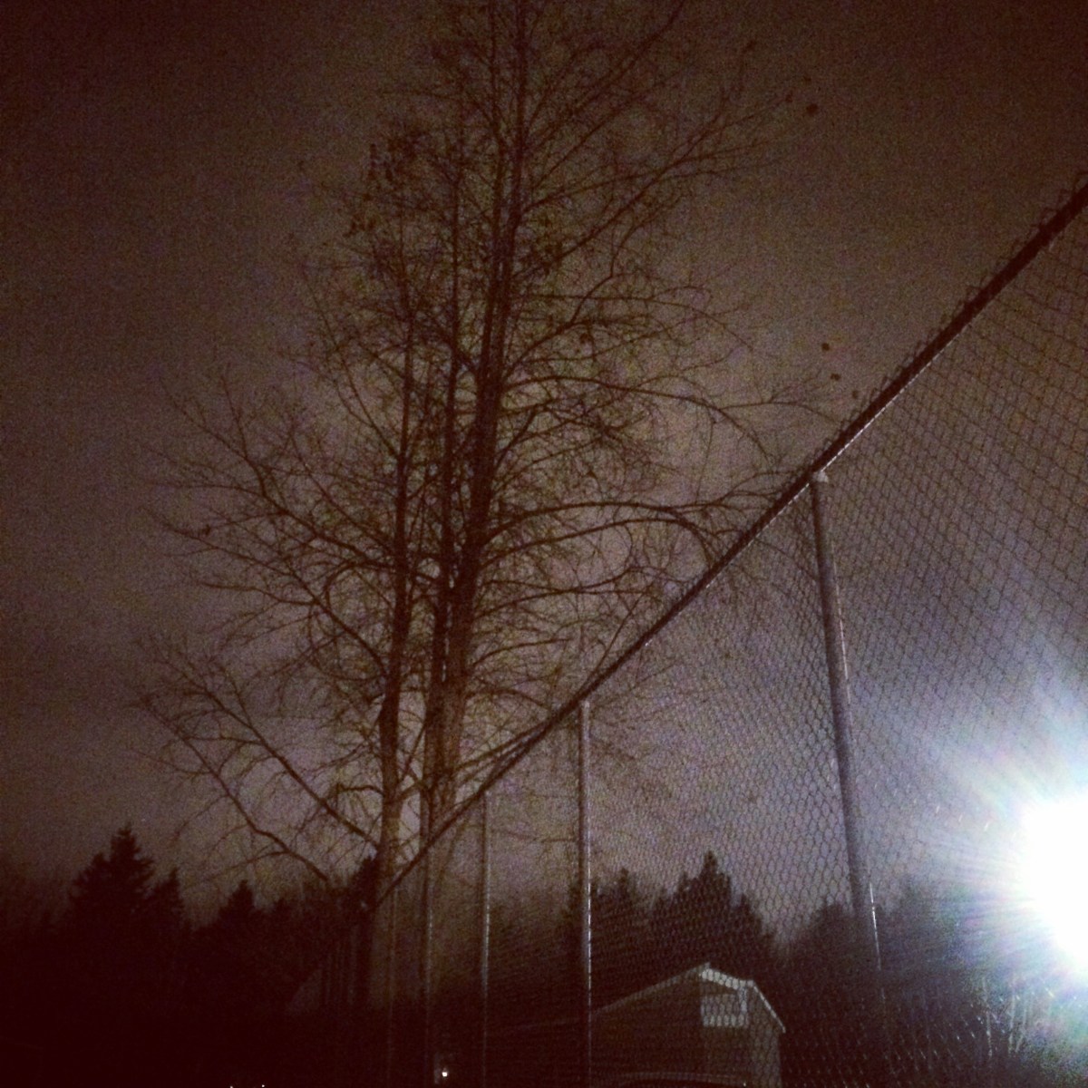 Mic Mac Sports Fields off-leash dog-friendly