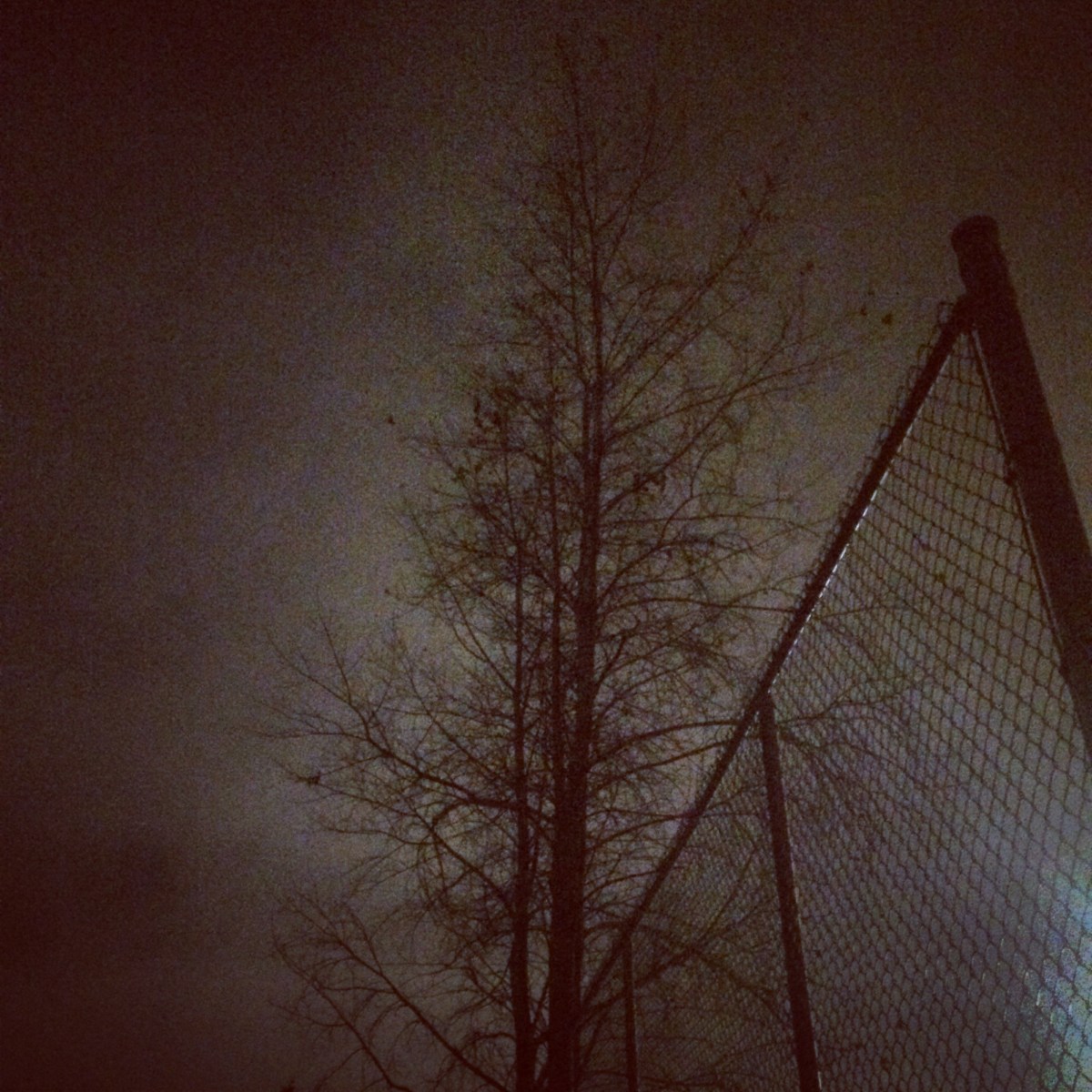 Mic Mac Sports Fields off-leash dog-friendly