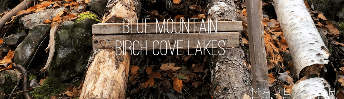 Dog-friendly fun at Blue Mountain Birch Cove Lakes