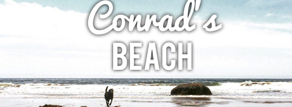 Conrad's Beach in Lawrencetown, Nova Scotia is Off-Leash Dog Friendly