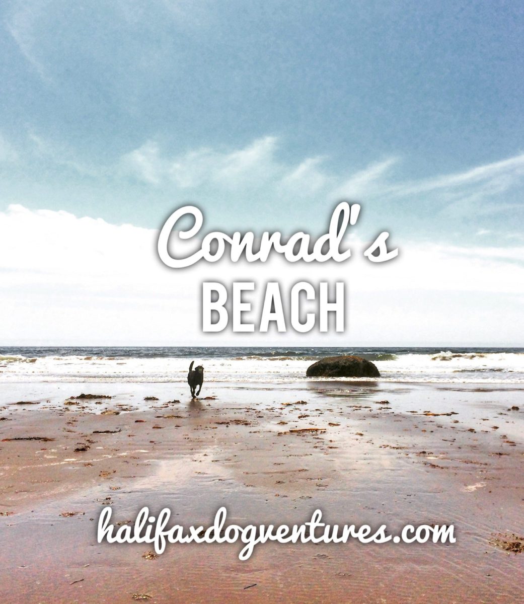 Conrad's Beach in Lawrencetown, Nova Scotia is Off-Leash Dog Friendly