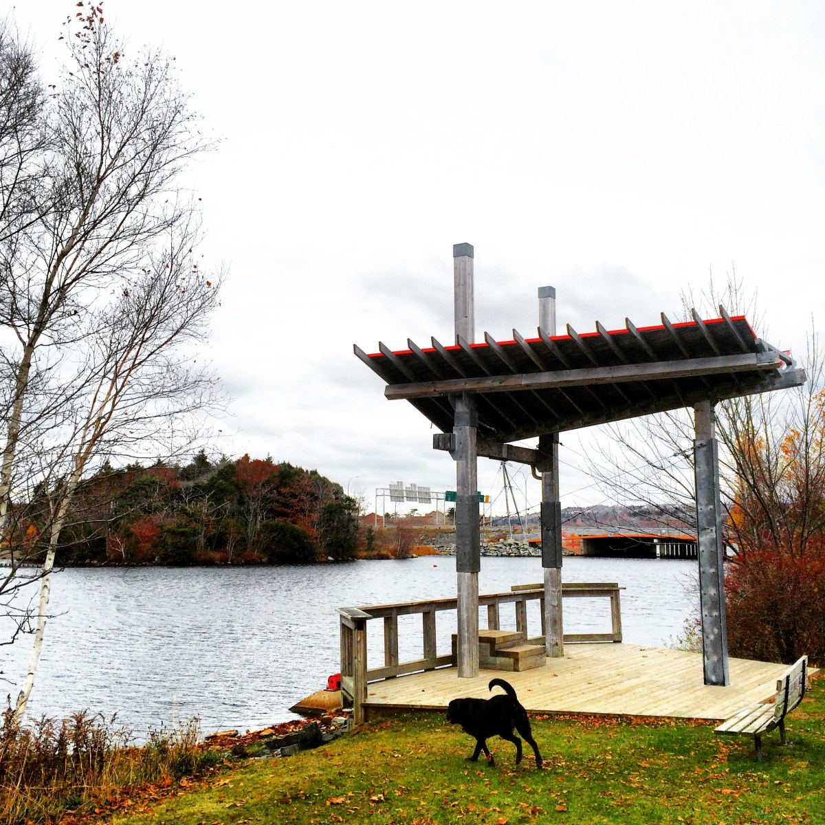 Graham's Grove Park with dog