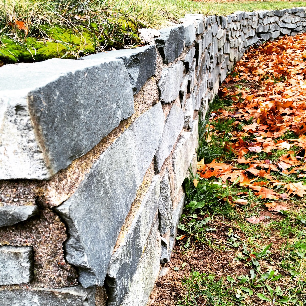 Graham's Grove Park with dog