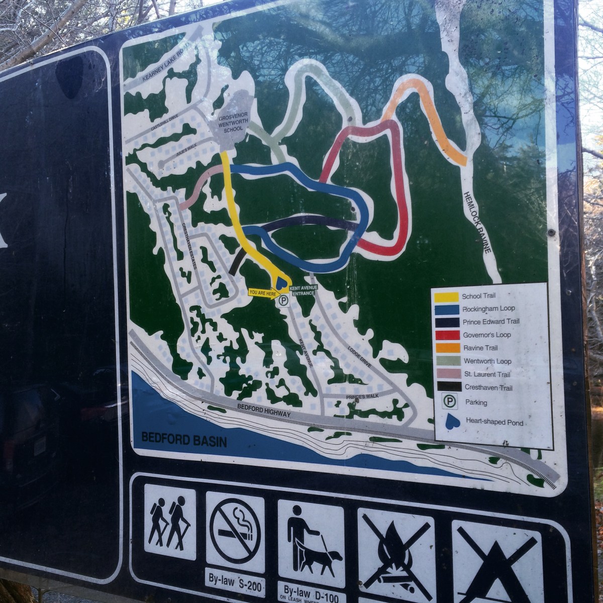 Hemlock Ravine Park off-leash dog friendly trail