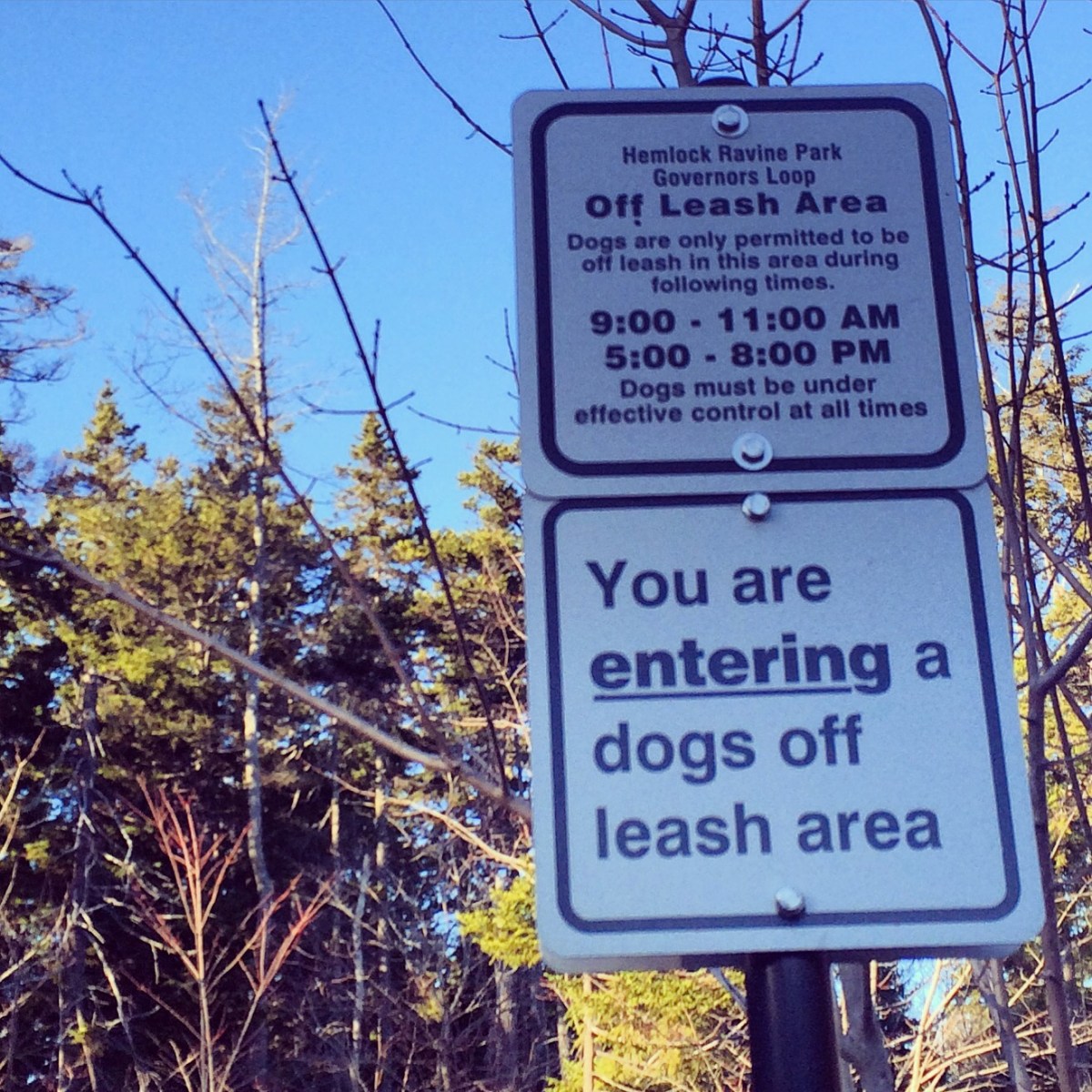 Hemlock Ravine Park off-leash dog friendly trail