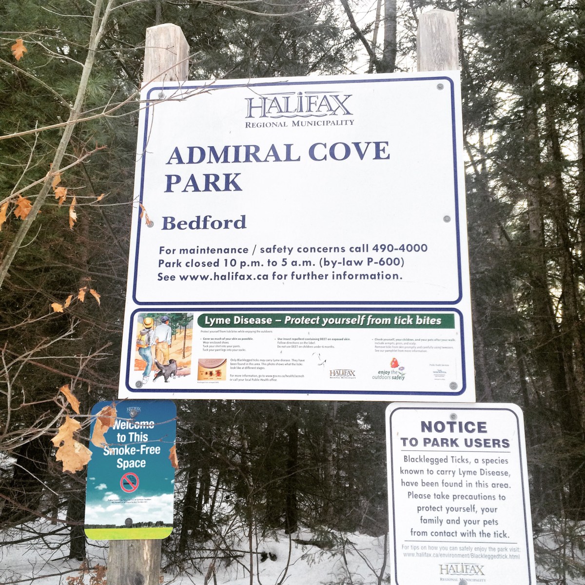 Admiral Cove Park in Bedford, NS is Dog-Friendly - but beware of ticks