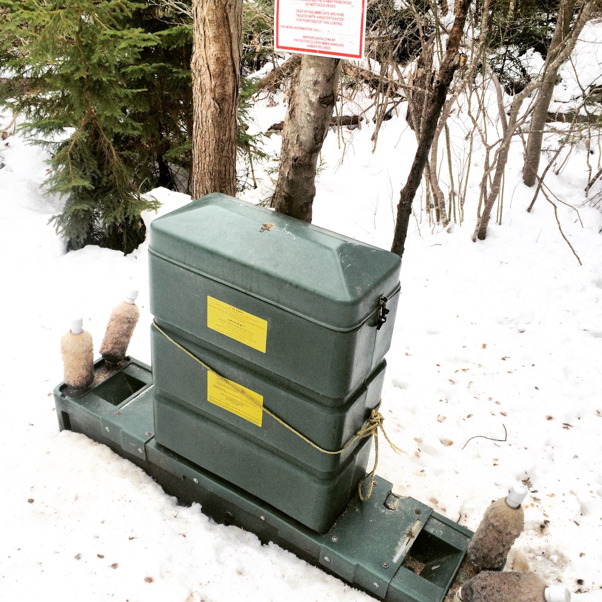 Admiral Cove Park in Bedford, NS is Dog-Friendly - but beware of ticks