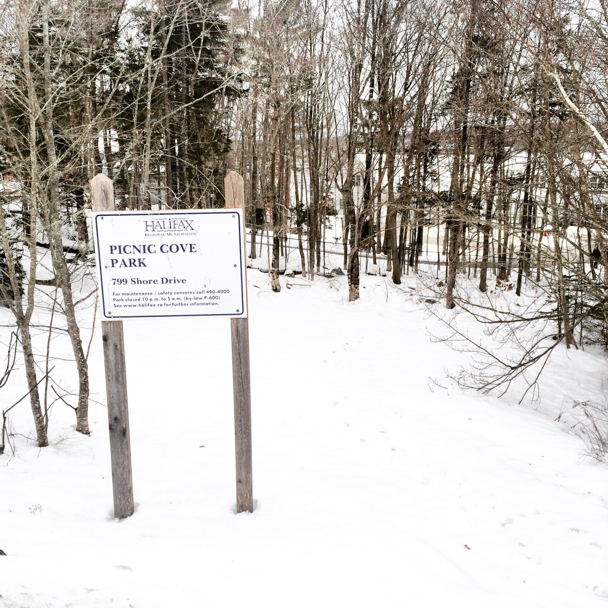 Picnic Cove Park Dog-Friendly