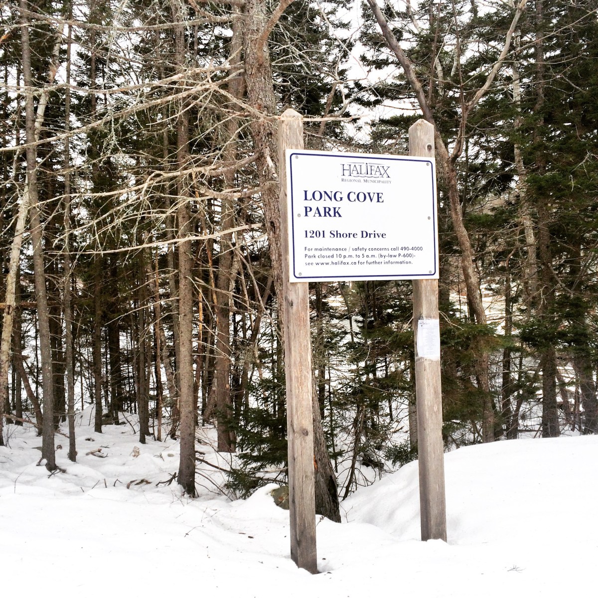 Long Cove Park Dog-Friendly