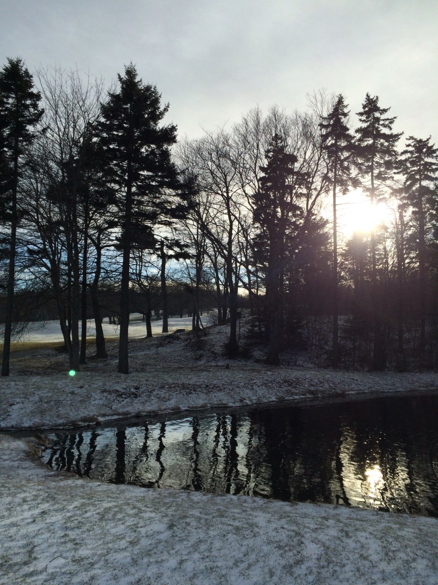 Ashburn Golf Club Off-Leash