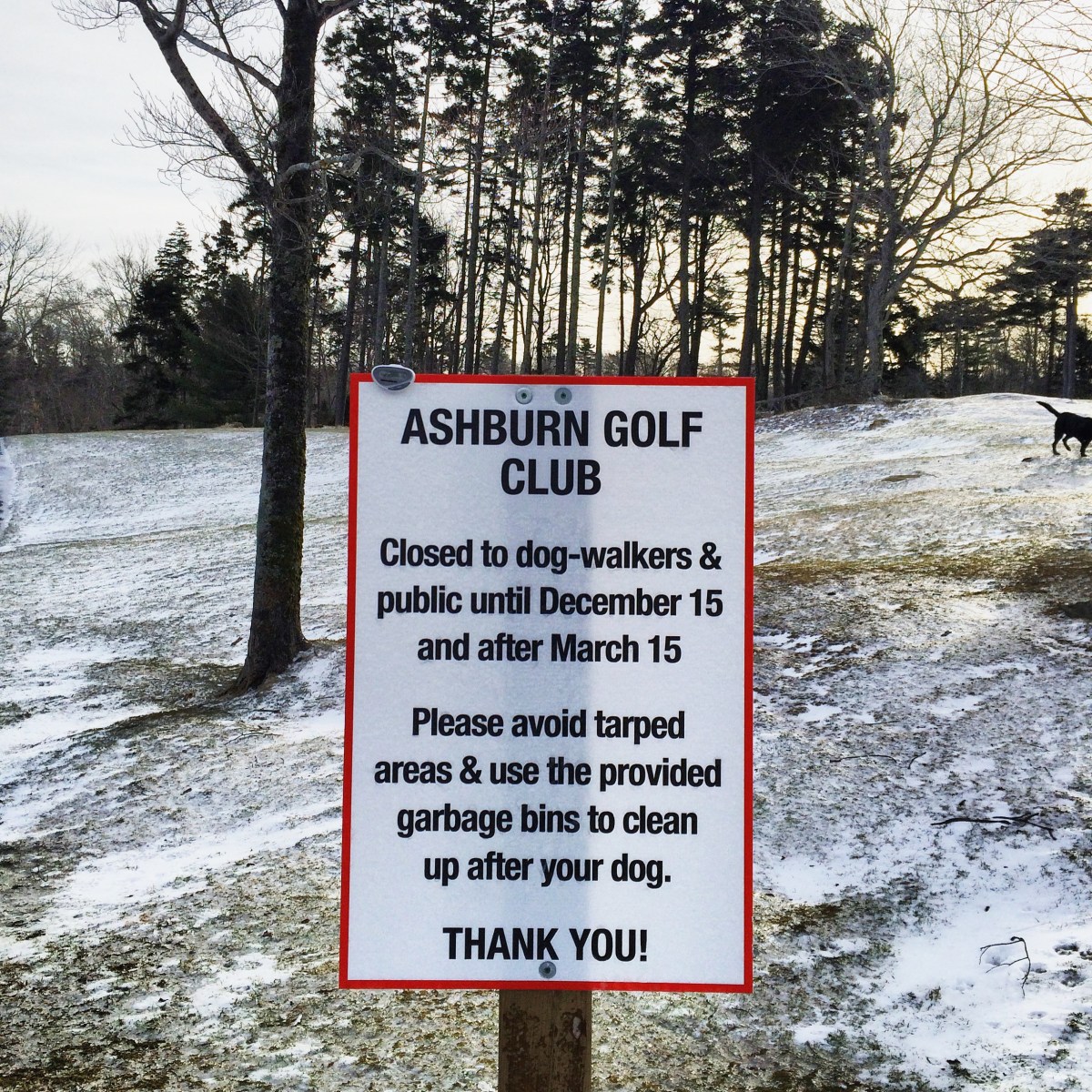 Ashburn Golf Club Dog-Friendly
