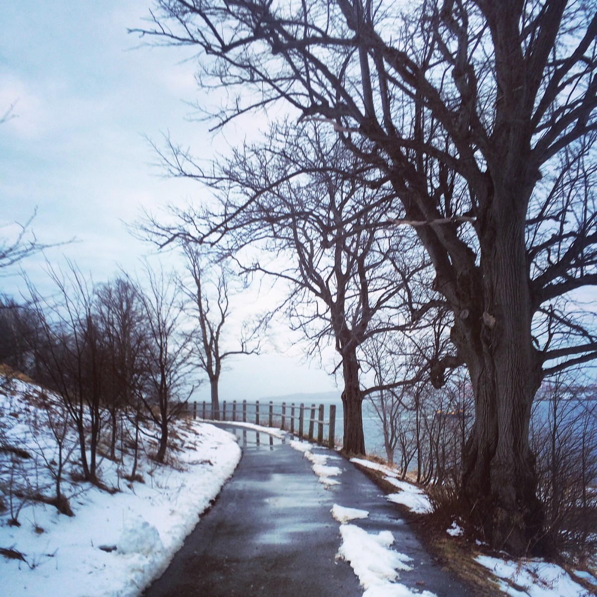 Dartmouth Harbourwalk Dog-Friendly