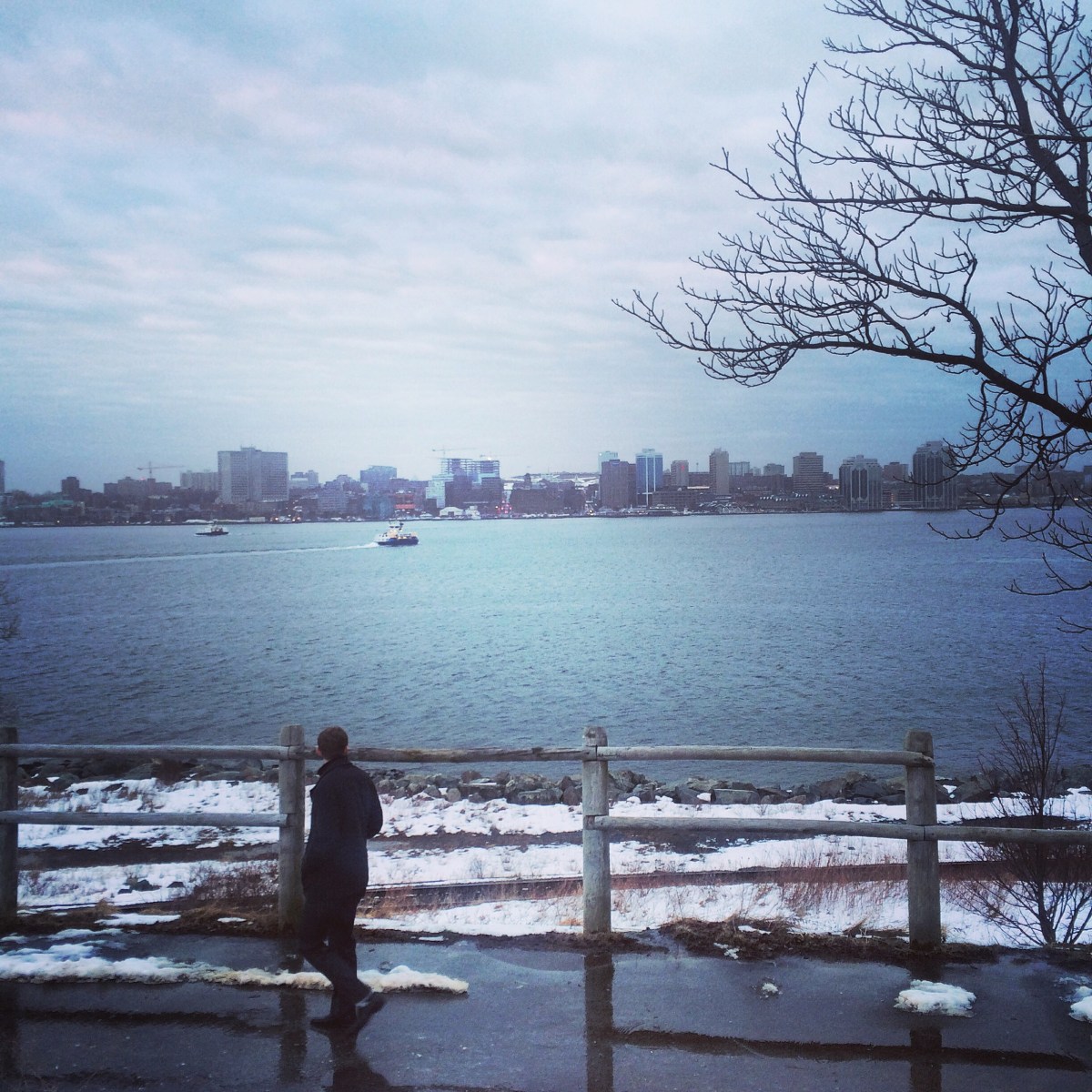 Dartmouth Harbourwalk Dog-Friendly Halifax Harbour View