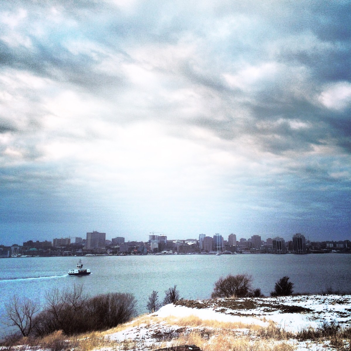 Dartmouth Harbourwalk Dog-Friendly