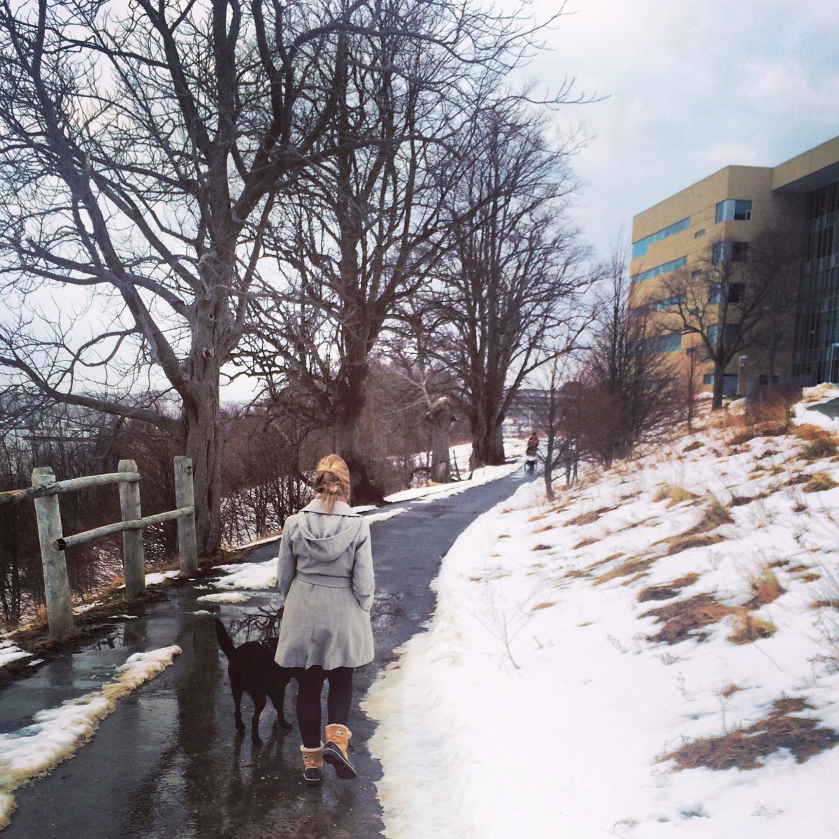 Dartmouth Harbourwalk with Dog