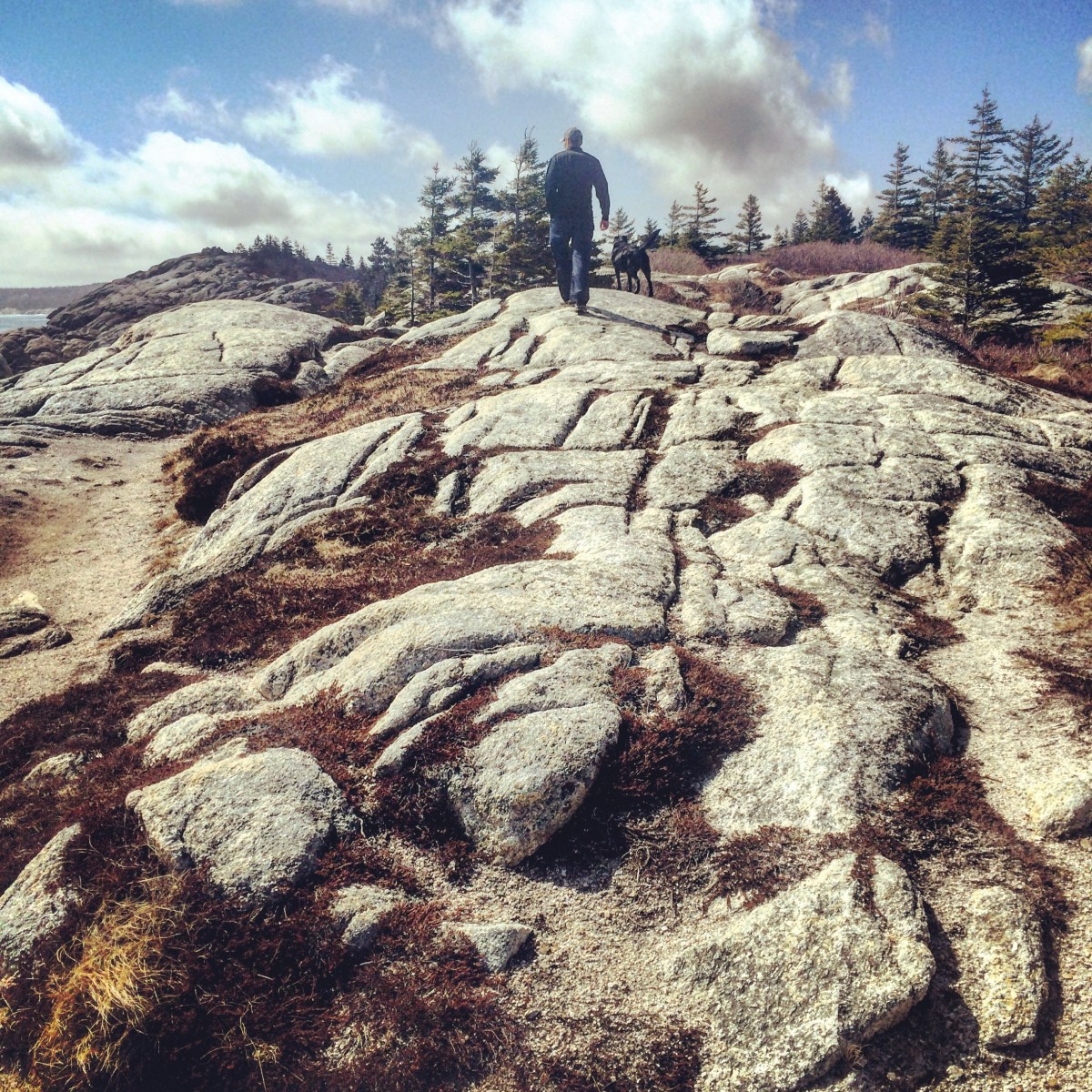 Herring Cove Provincial Park Reserve in Halifax, Nova Scotia