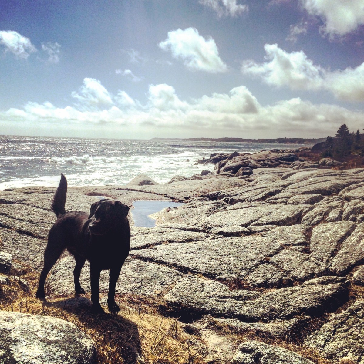 Herring Cove Provincial Park Reserve in Halifax, Nova Scotia