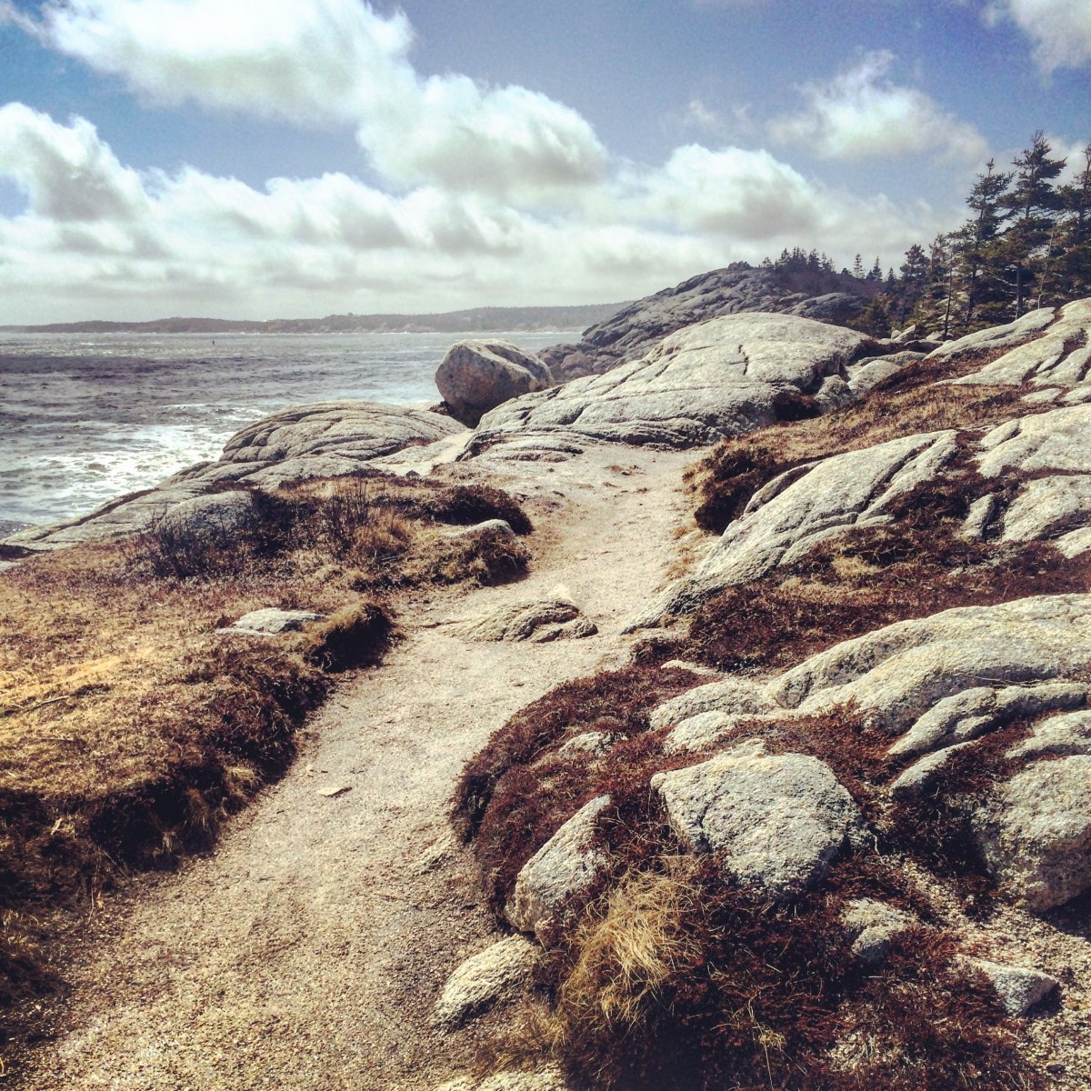 Herring Cove Provincial Park Reserve in Halifax, Nova Scotia