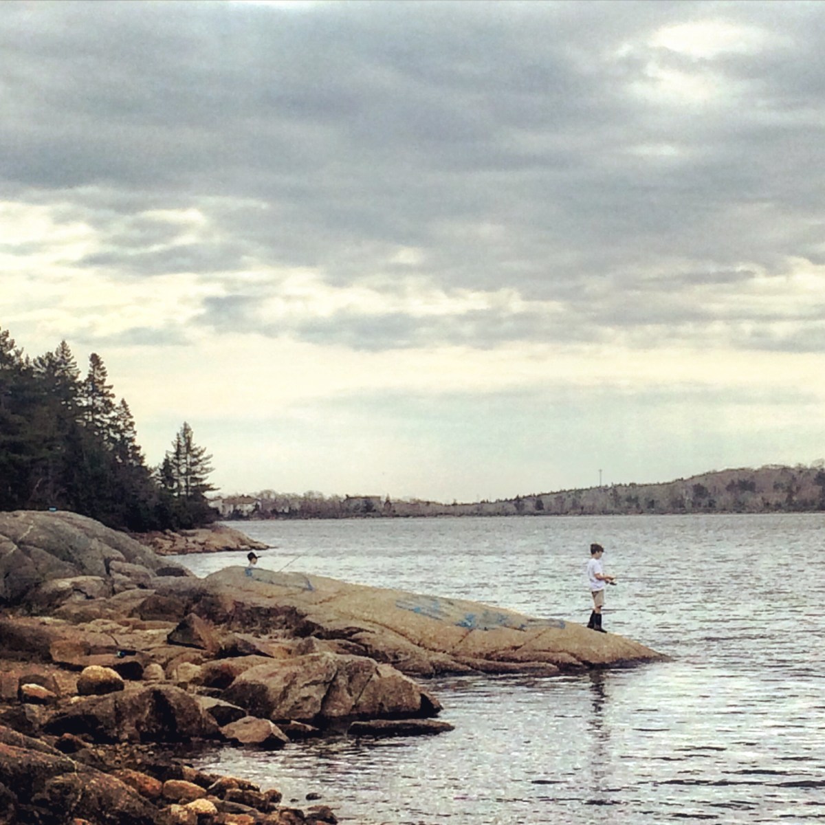 Long Lake Provincial Park new Lakeview Trail dog-friendly