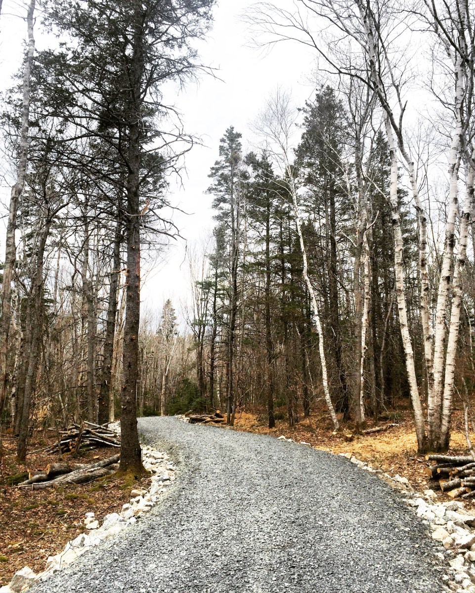 Long Lake Provincial Park new Lakeview Trail dog-friendly