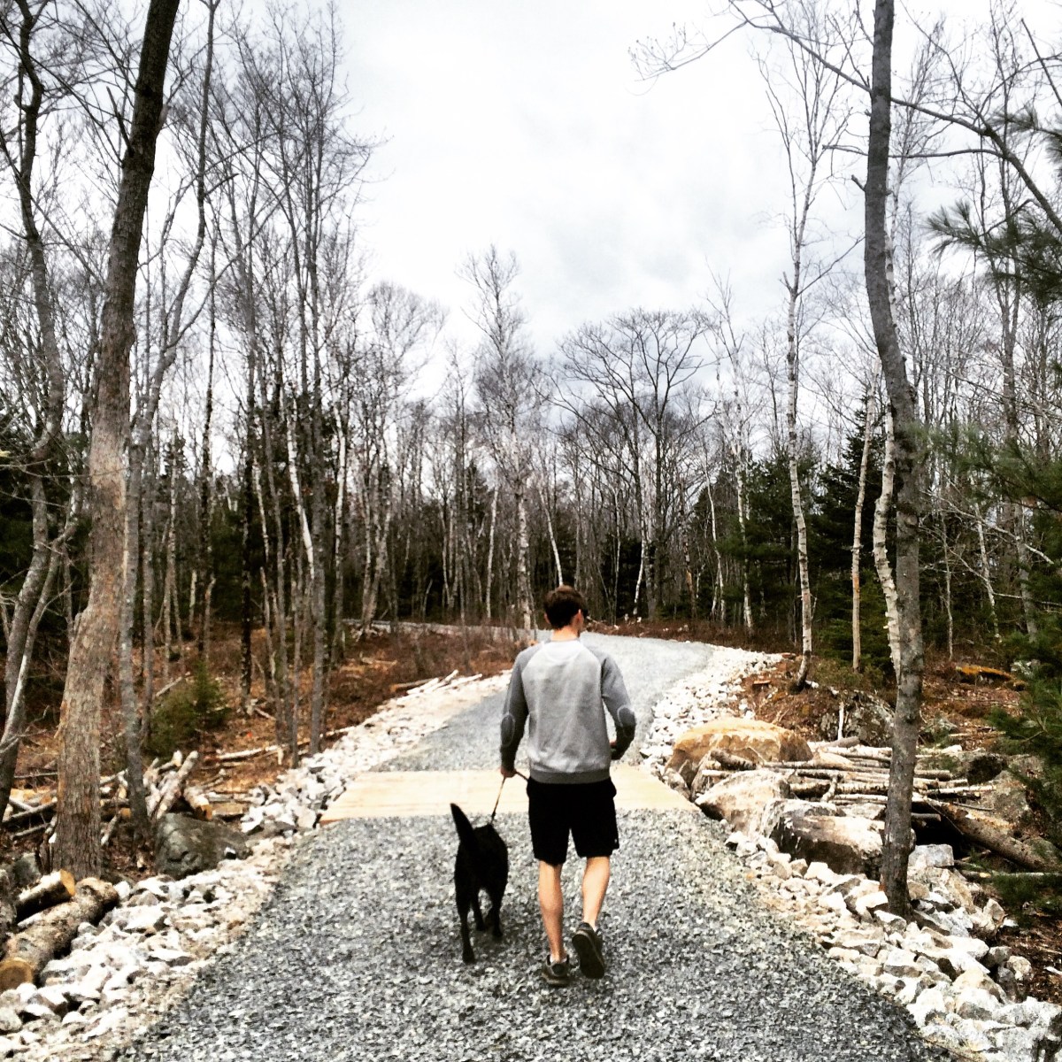 Long Lake Provincial Park new Lakeview Trail dog-friendly