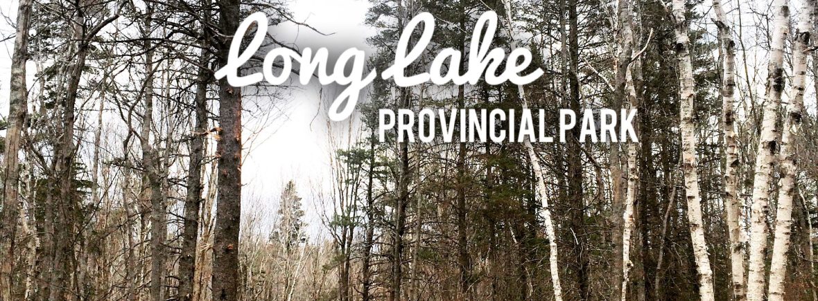 Long Lake Provincial Park dog-friendly