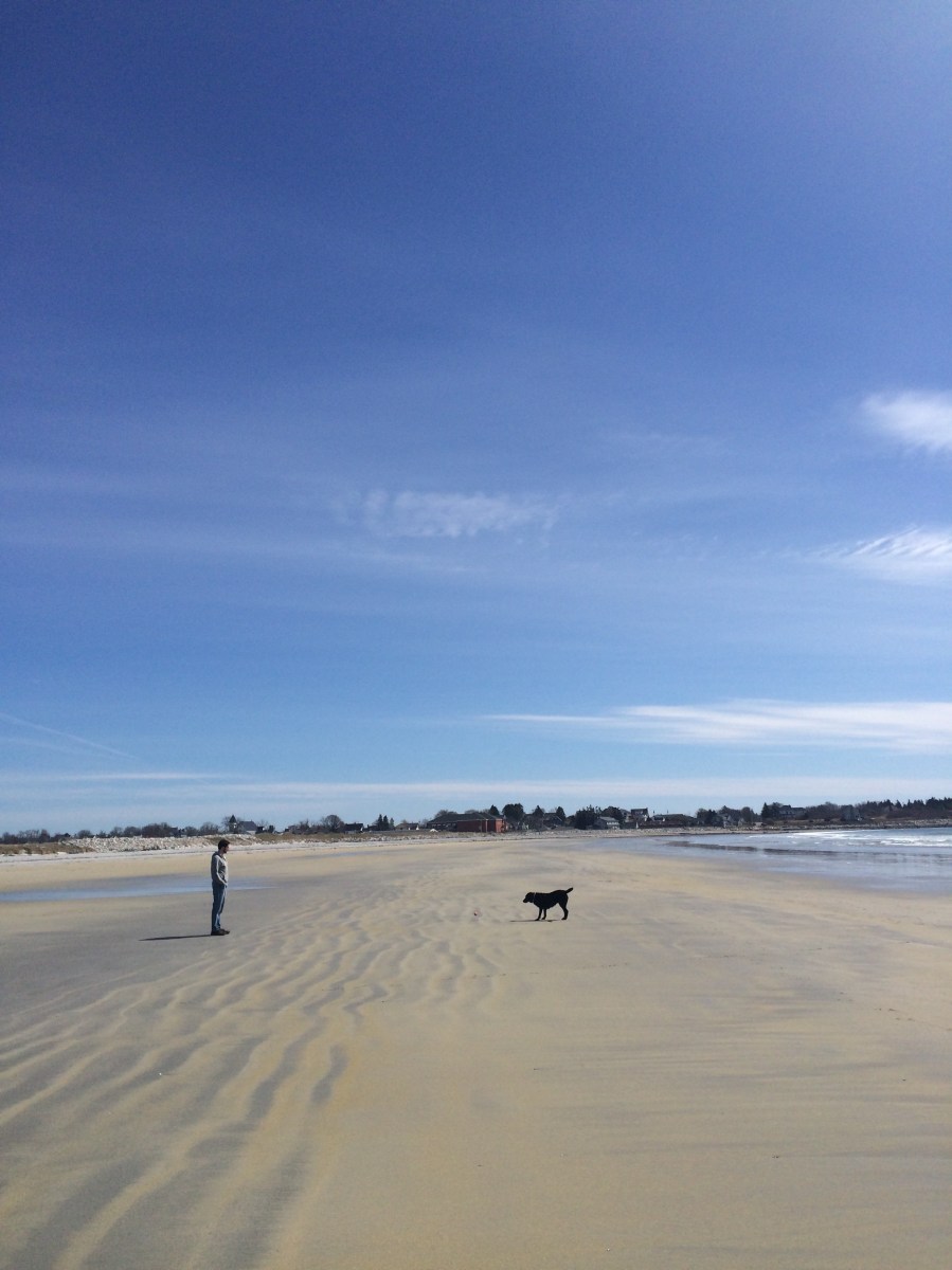 Crescent Beach in Lockeport, NS - a beautiful, dog-friendly beach