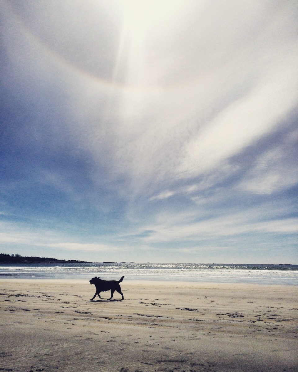 Crescent Beach in Lockeport, NS - a beautiful, dog-friendly beach
