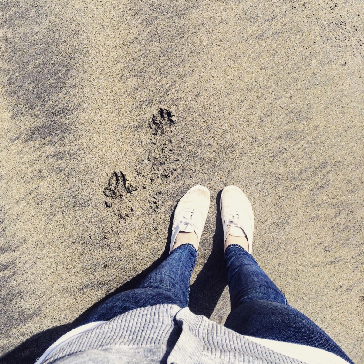 Crescent Beach in Lockeport, NS - a beautiful, dog-friendly beach