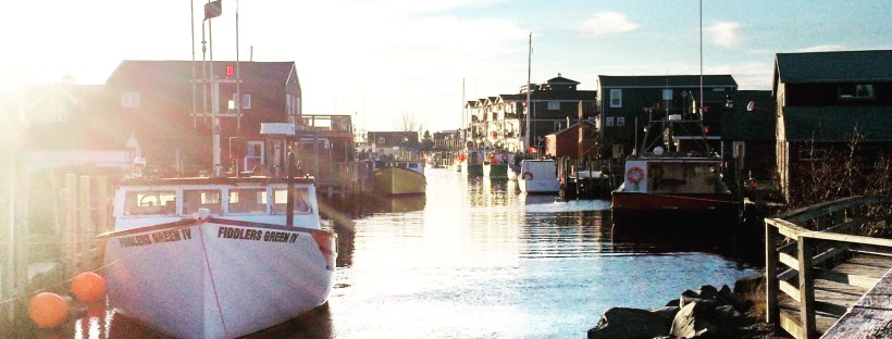 Enjoy a dog-friendly east coast experience at MacCormacks Beach in Eastern Passage, NS