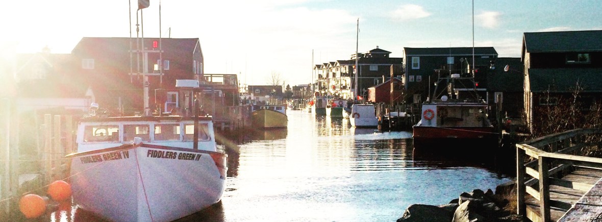 Enjoy a dog-friendly east coast experience at MacCormacks Beach in Eastern Passage, NS