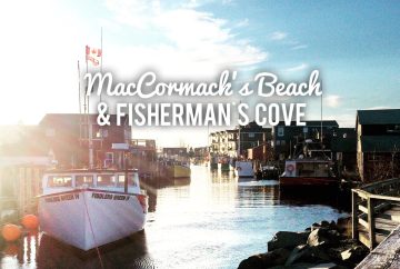 Enjoy a dog-friendly east coast experience at MacCormacks Beach in Eastern Passage, NS