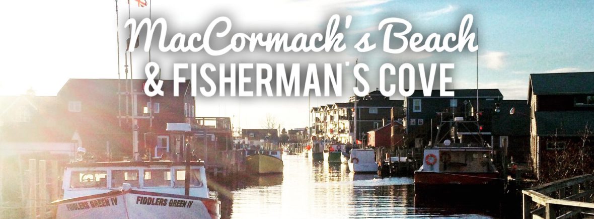 Enjoy a dog-friendly east coast experience at MacCormacks Beach in Eastern Passage, NS